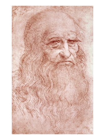 Bearded Man Da Vinci